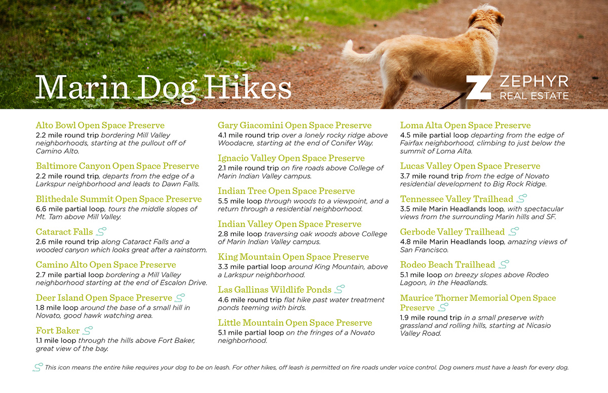 Marin Dog Hikes